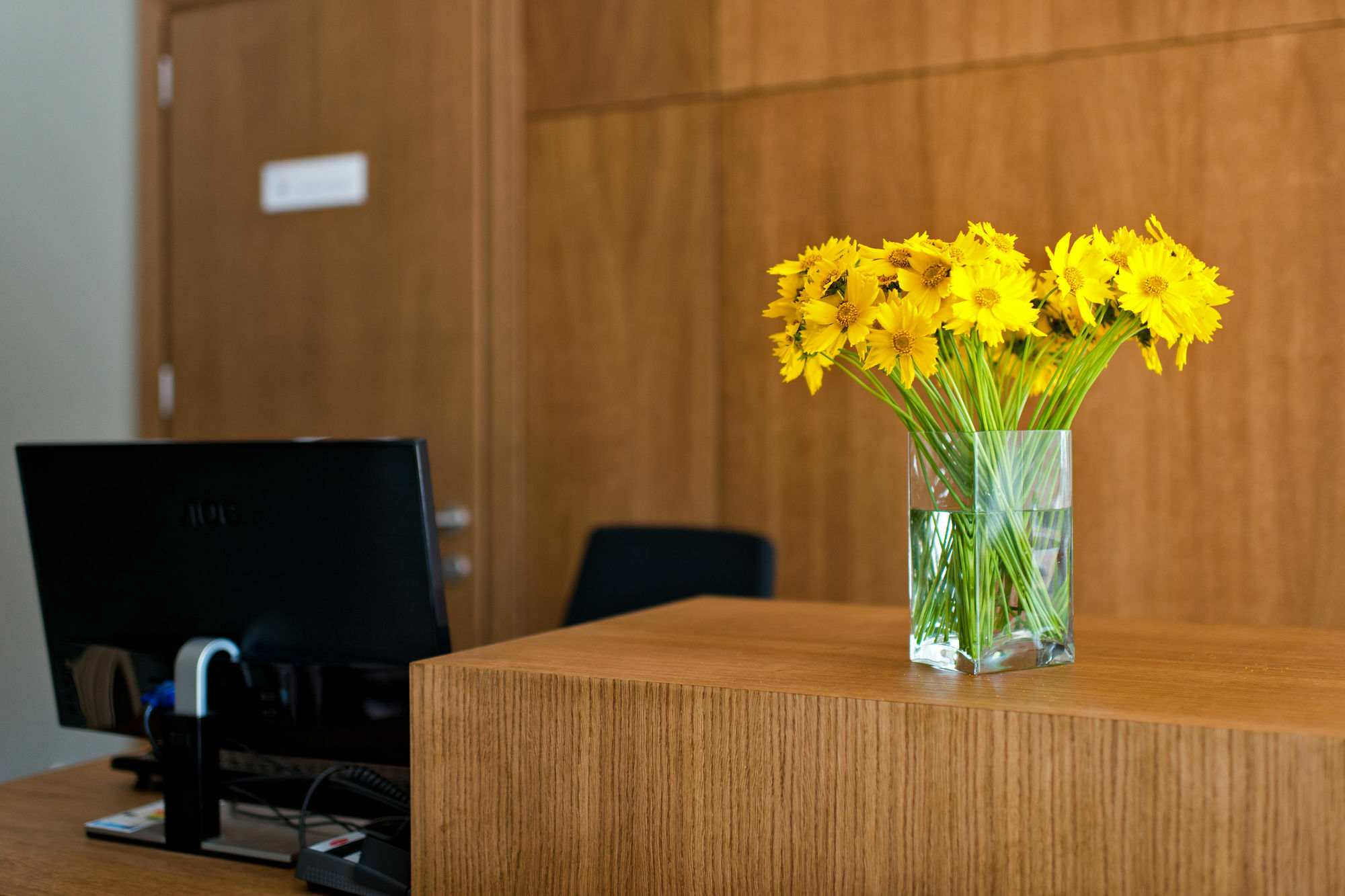Palanga Visit Apartments And Spa מראה חיצוני תמונה